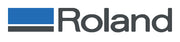 Roland logo with blue and gray design