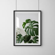 SIHL 4801 Crystal Gloss Photo Paper 290gsm