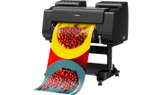 Canon ImagePROGRAF iPF PRO-2100 24" 12 Colour Photographic Large Format Printer