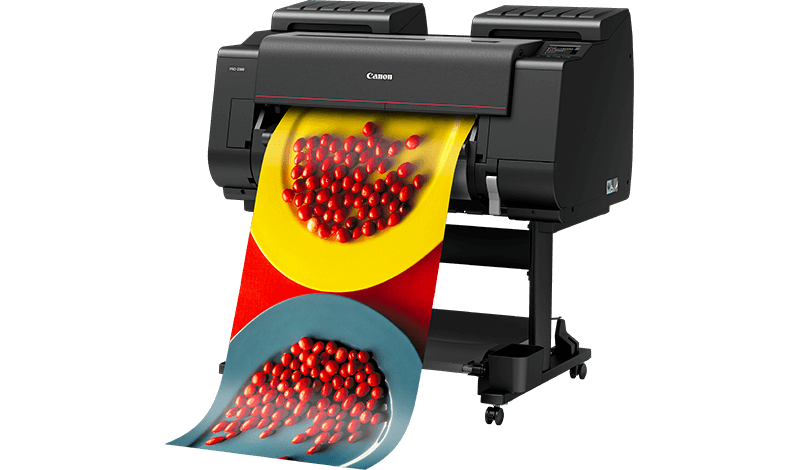 Canon ImagePROGRAF iPF PRO-2100 24" 12 Colour Photographic Large Format Printer