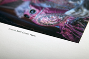 A close-up of a smooth matt cotton paper with a printed image showing details and colors on the surface.