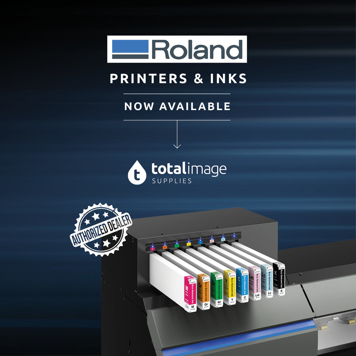 10% OFF Roland Inks