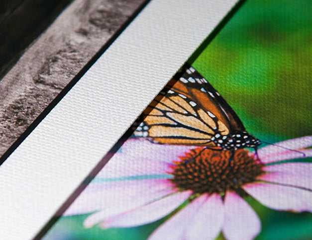 Close-up view of a printed canvas showing a section of an image with a butterfly on a flower, highlighting the texture and quality of the canvas.