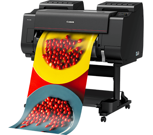 Canon ImagePROGRAF iPF PRO-2100 24" 12 Colour Photographic Large Format Printer